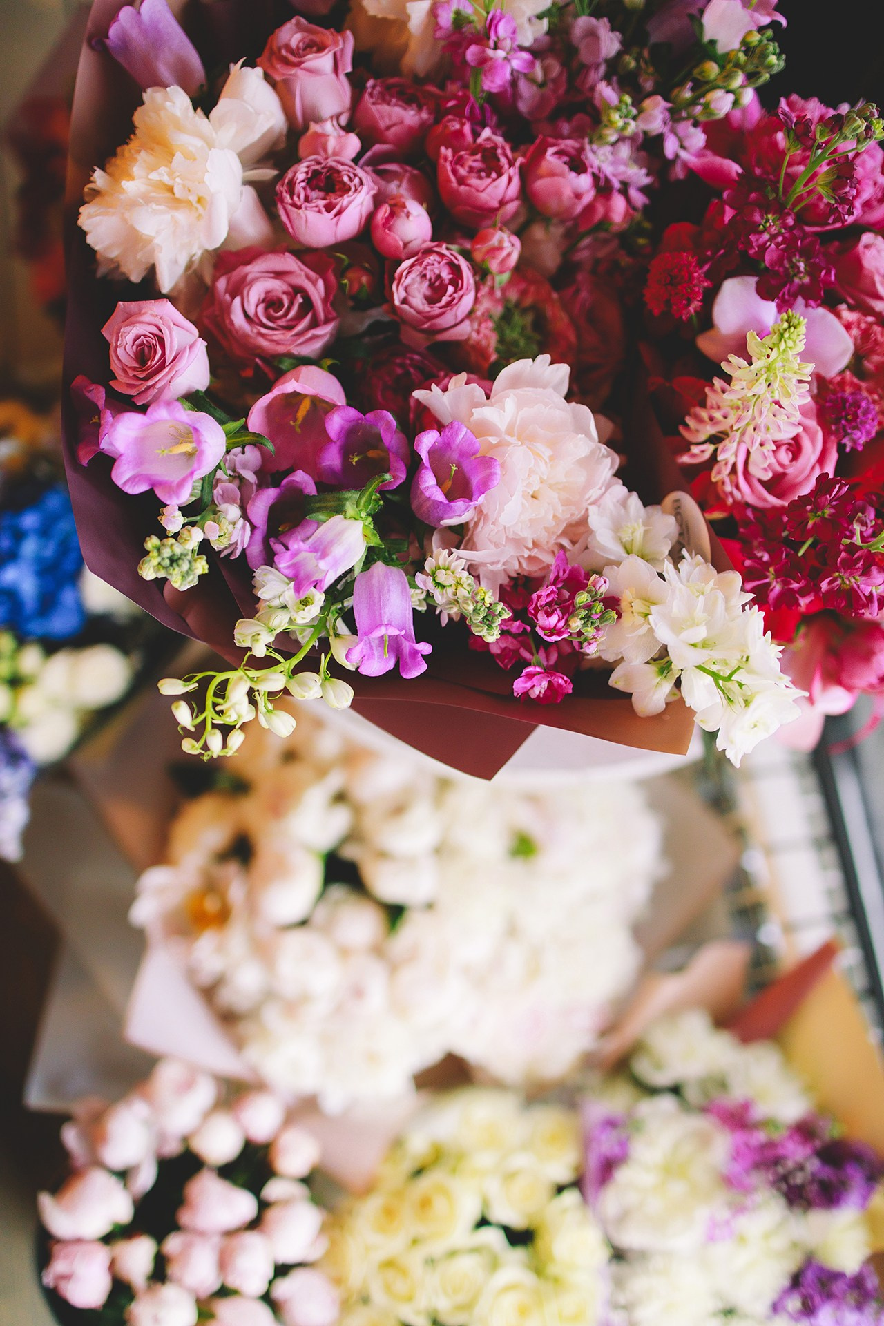 Alibi Alibi. Руслан Плахтеев