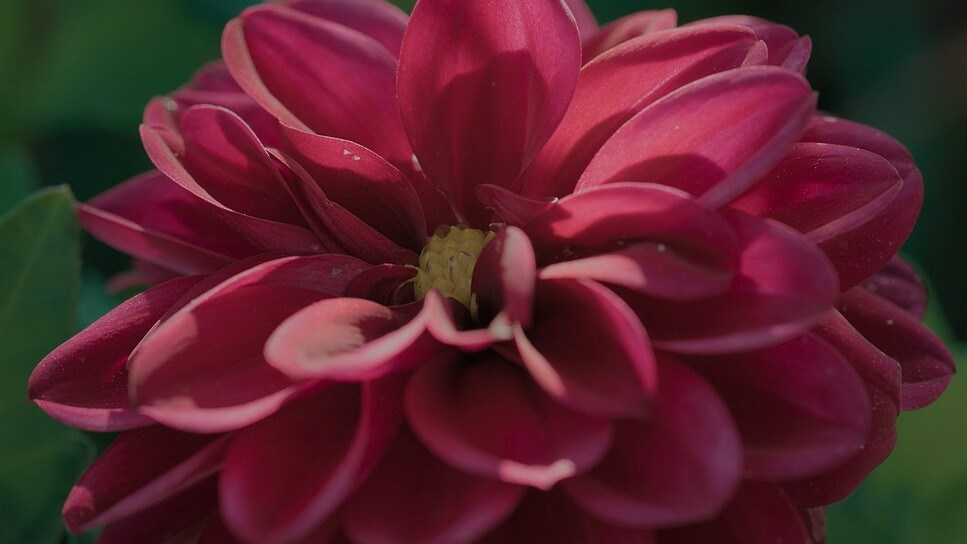 Color Theory. TENZO | Creative Producer / Art Director