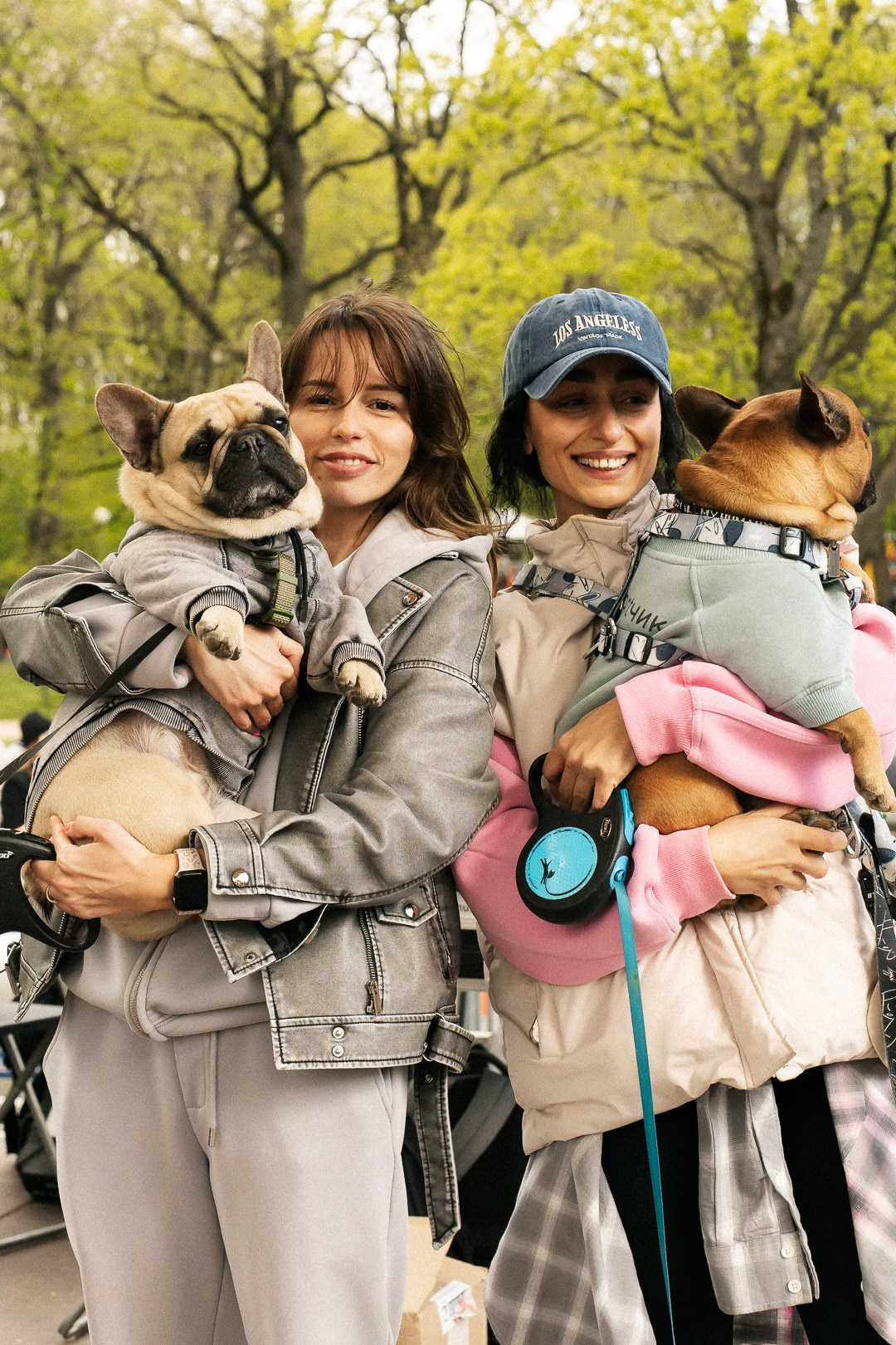 Парад Бульдогов. Axenov_eugene