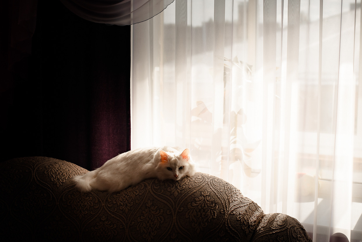 Свадебный день. Свадебный и семейный фотограф Москва, Иваново Андрей Перфилов