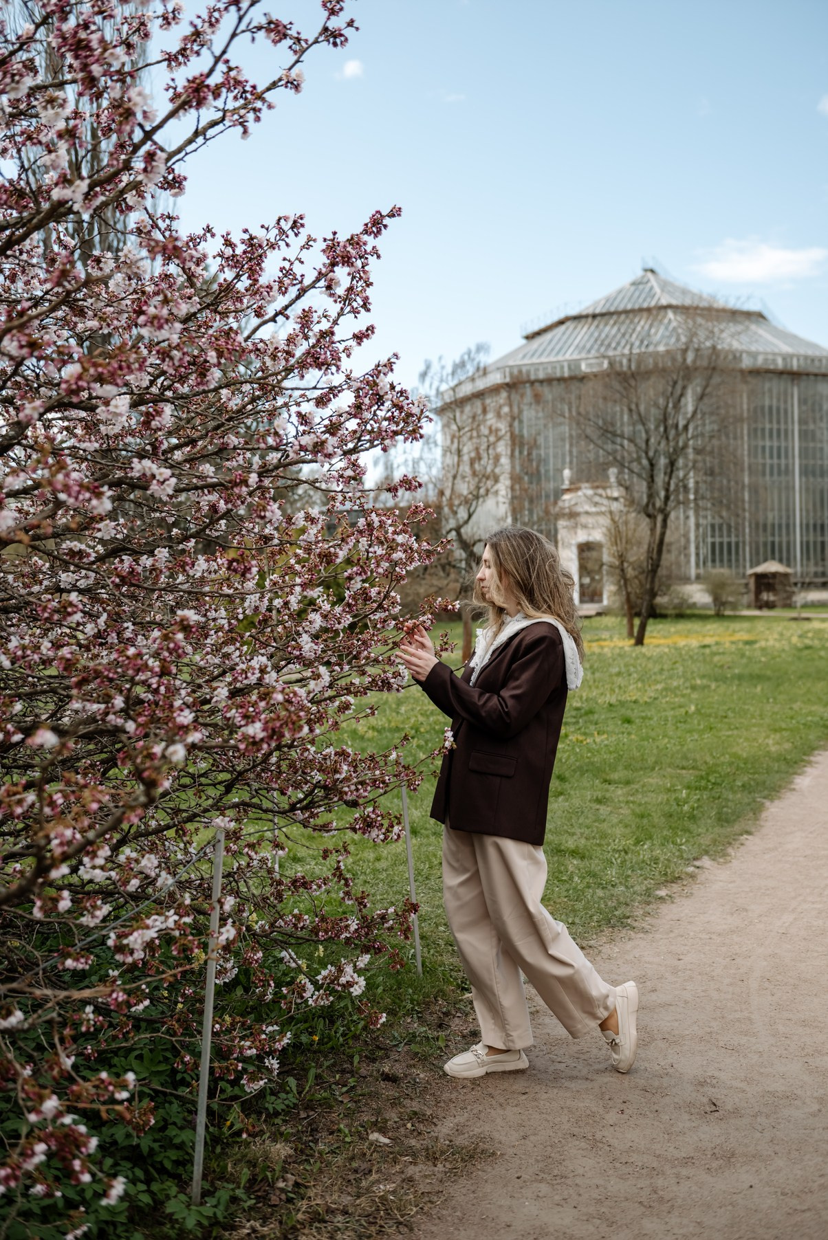 Марина с сакурой. Свадебный и семейный фотограф в Санкт-Петербурге Елена Худякова
