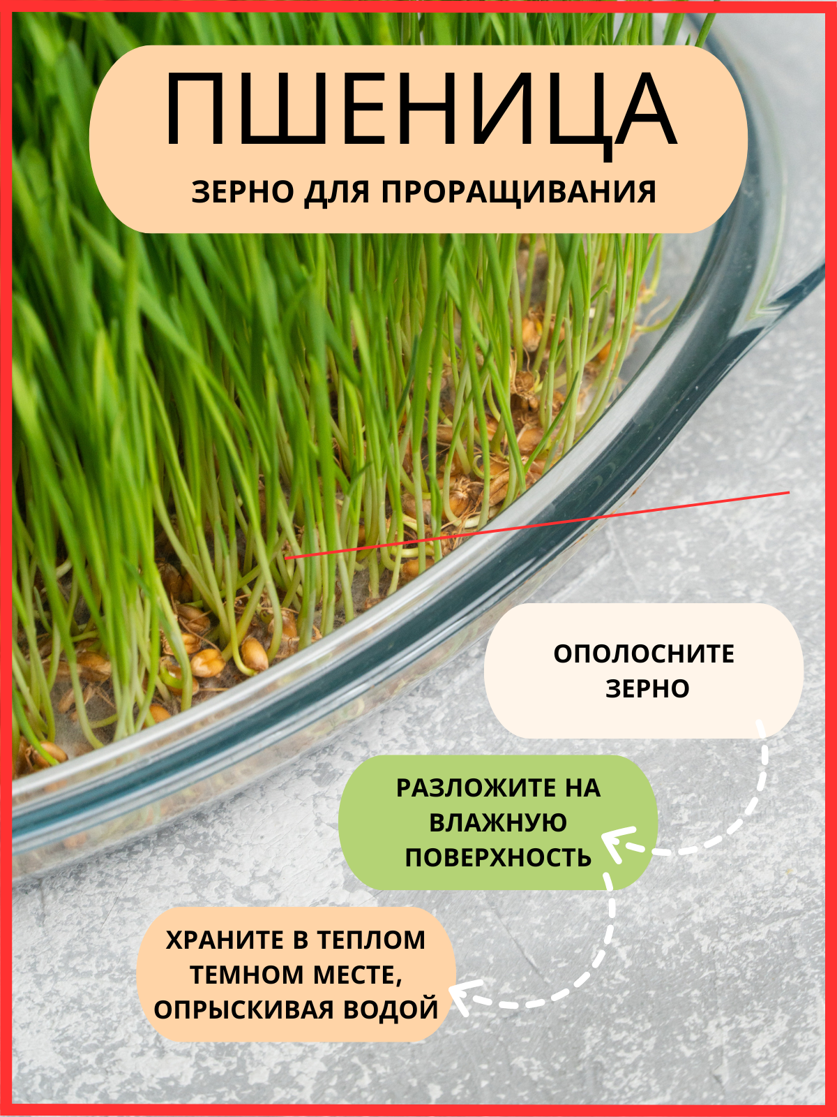 Инфографика. Фото для Маркетплейсов