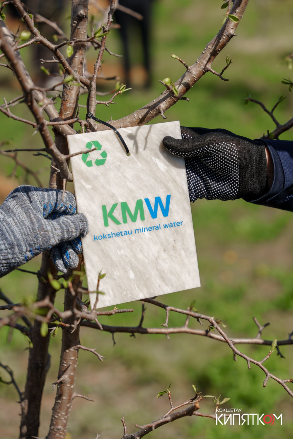 HCB ЗЕЛЕНАЯ АЛЛЕЯ. КИПЯТКОМ КОКШЕТАУ