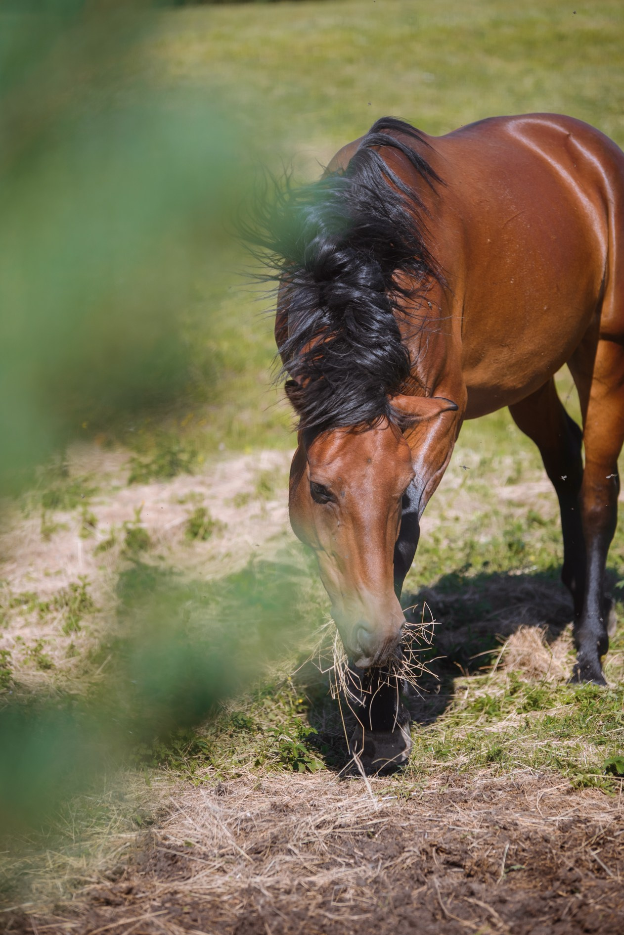 Рехорс. Женский и детский фотограф. Классбуки