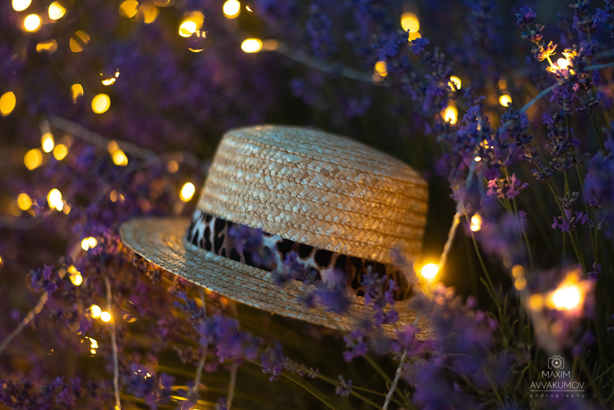 Отзывы клиентов о работе. Портретный и свадебный фотограф в Крыму Аввакумов Максим