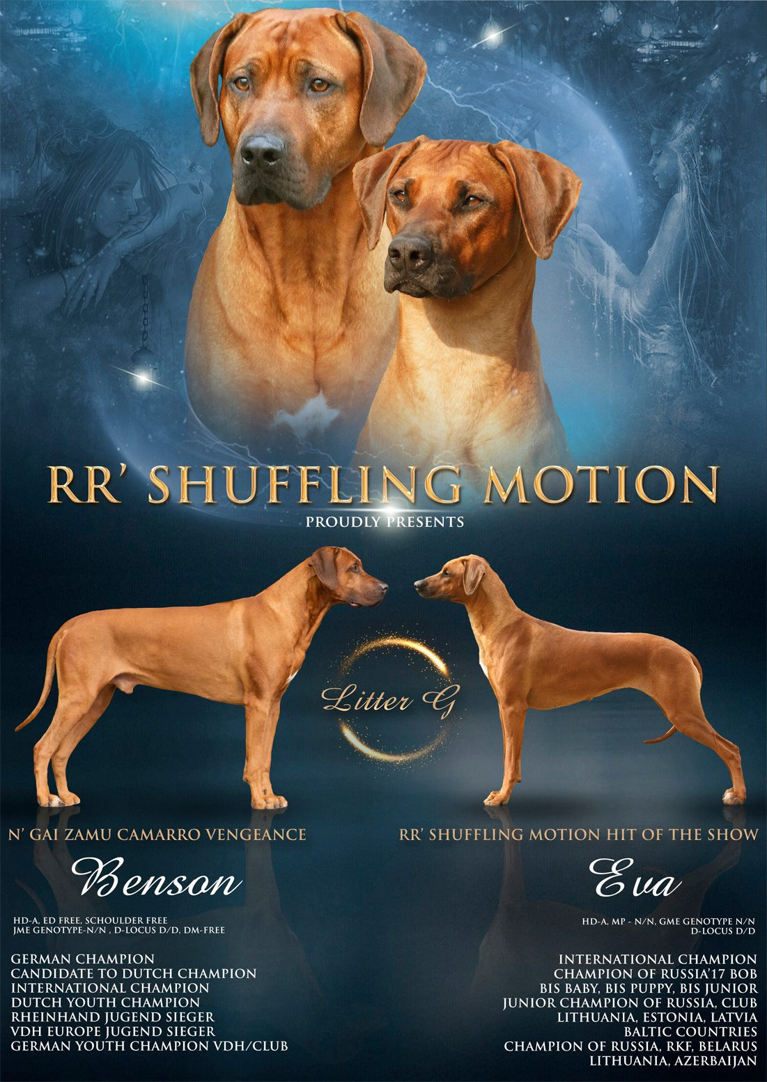 Презентации / реклама. Фотограф — анималист в Санкт — Петербурге Анна Орис