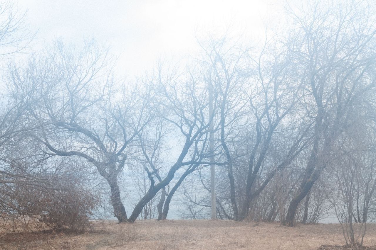 Марафон «Другая сторона света». Женский семейный фотограф Тула Москва Захарова Анна