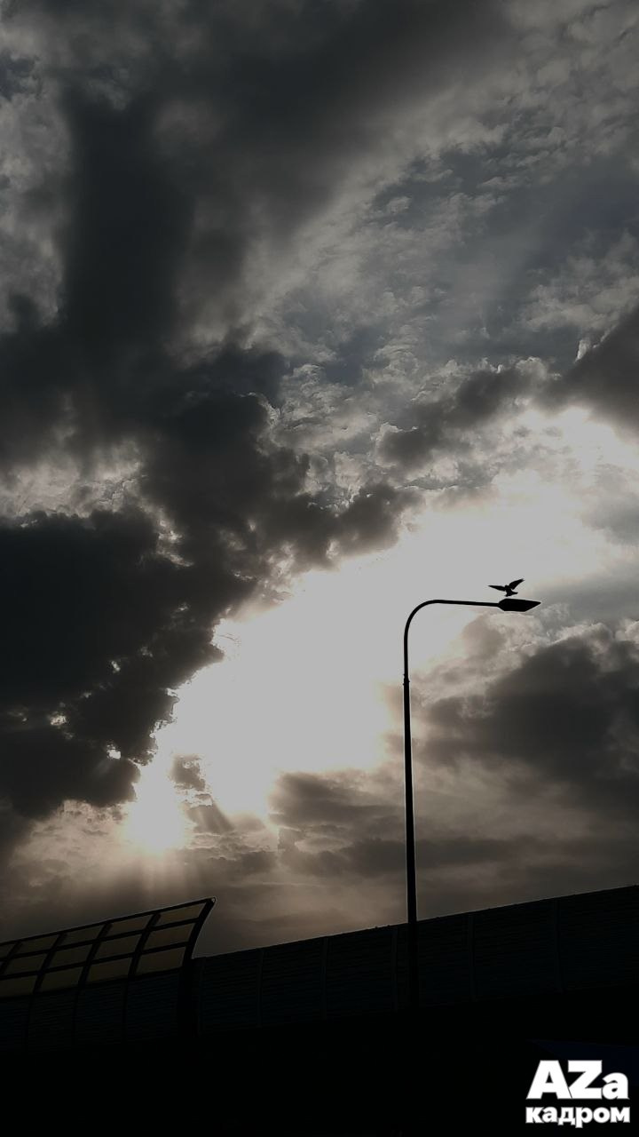 AZакадром Импрессинизм. Женский семейный фотограф Тула Москва Захарова Анна