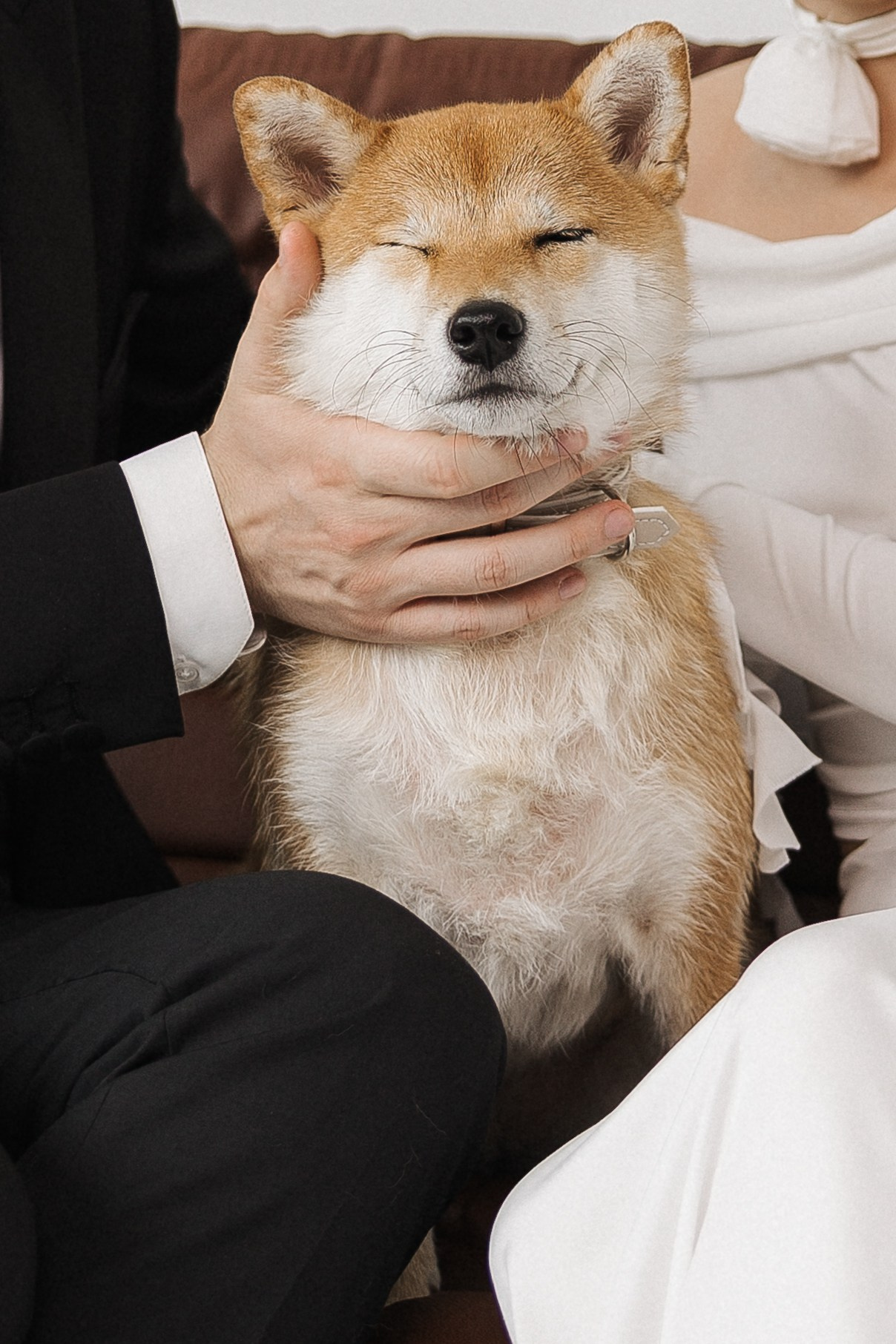 Катя и Саша. Свадебный фотограф в Москве и Екатеринбурге