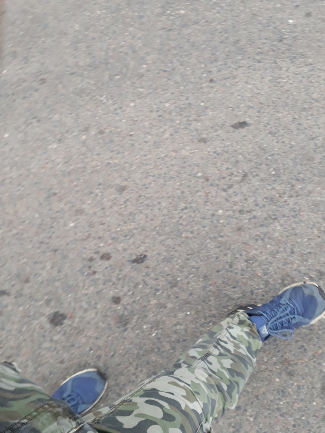 Pictures I didn’t take. Künstler Verstecktoff