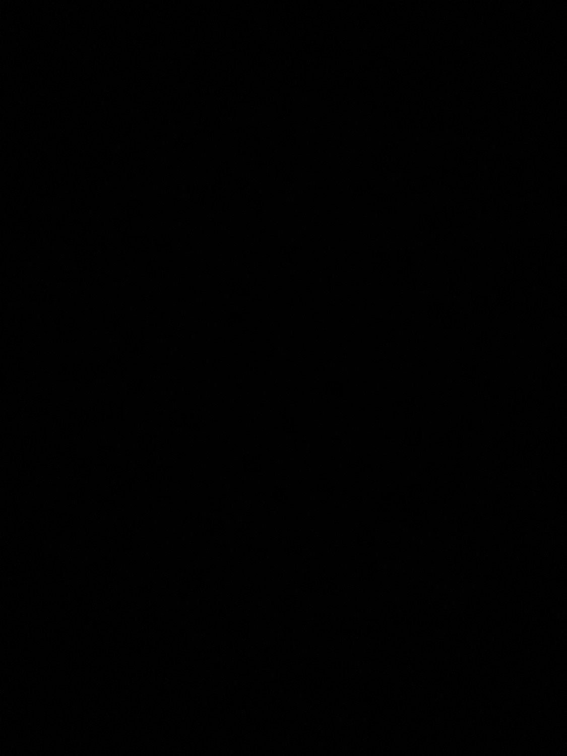 Pictures I didn’t take. Künstler Verstecktoff