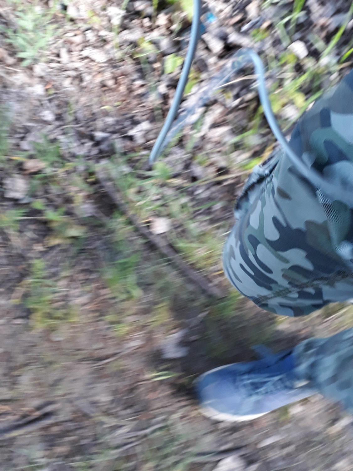 Pictures I didn’t take. Künstler Verstecktoff