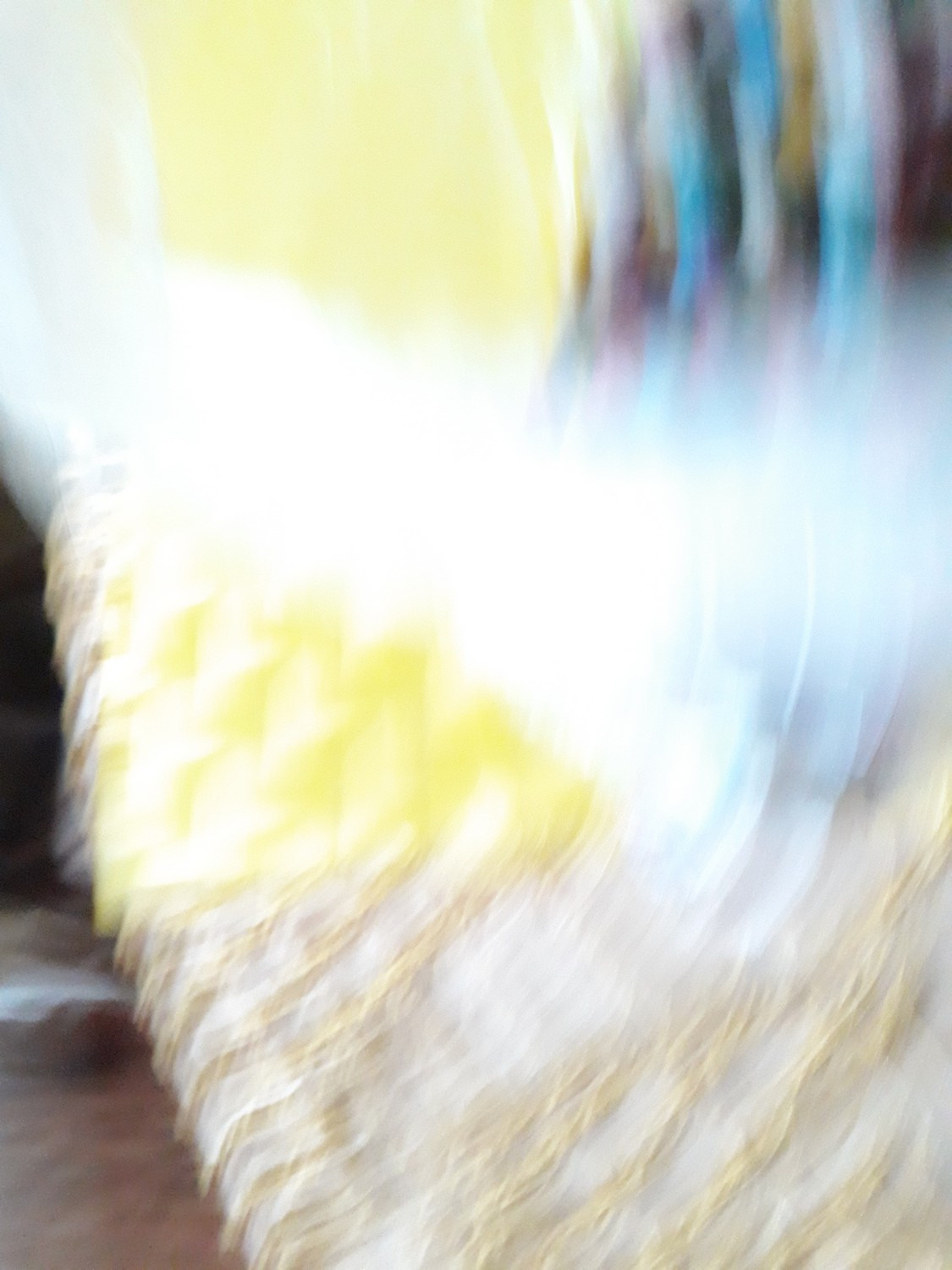 Pictures I didn’t take. Künstler Verstecktoff