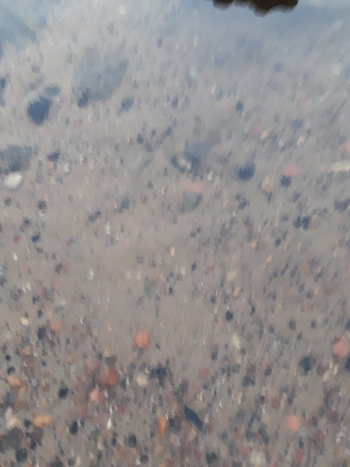 Pictures I didn’t take. Künstler Verstecktoff