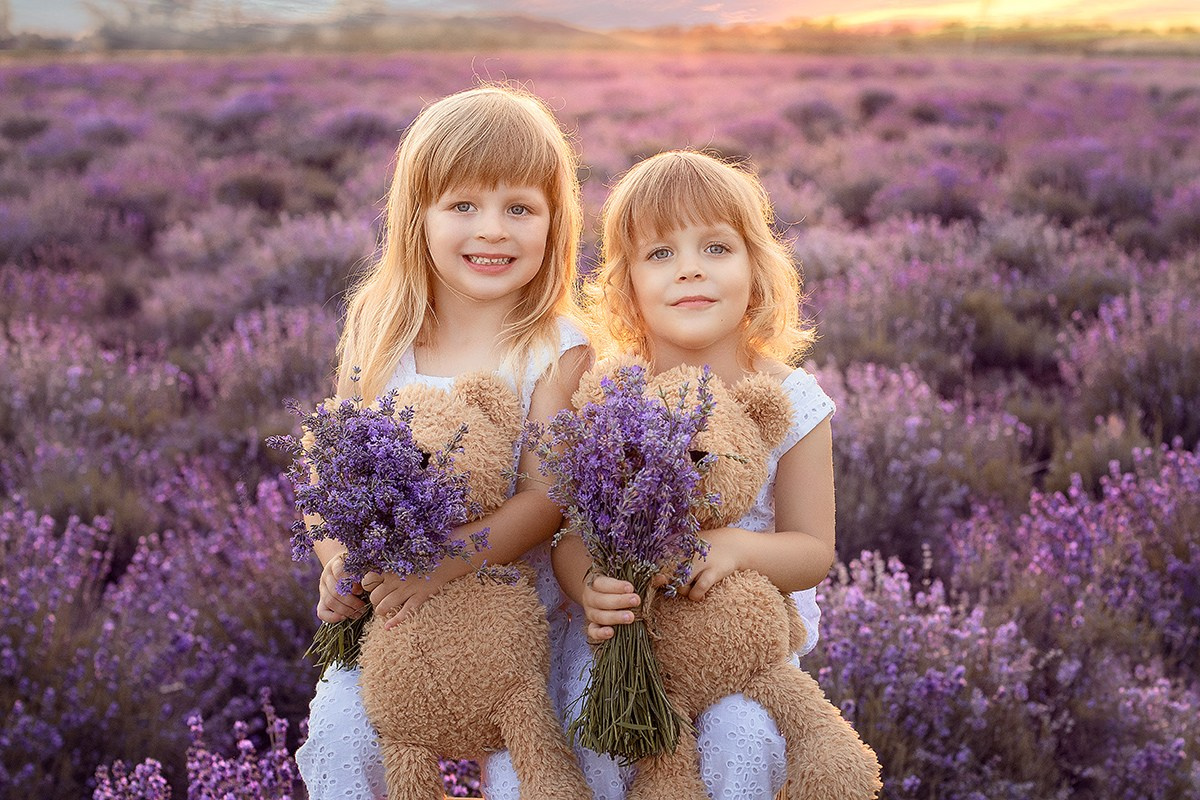 Лавандовые поля. Фотограф в Волгодонске Елена Орешкина