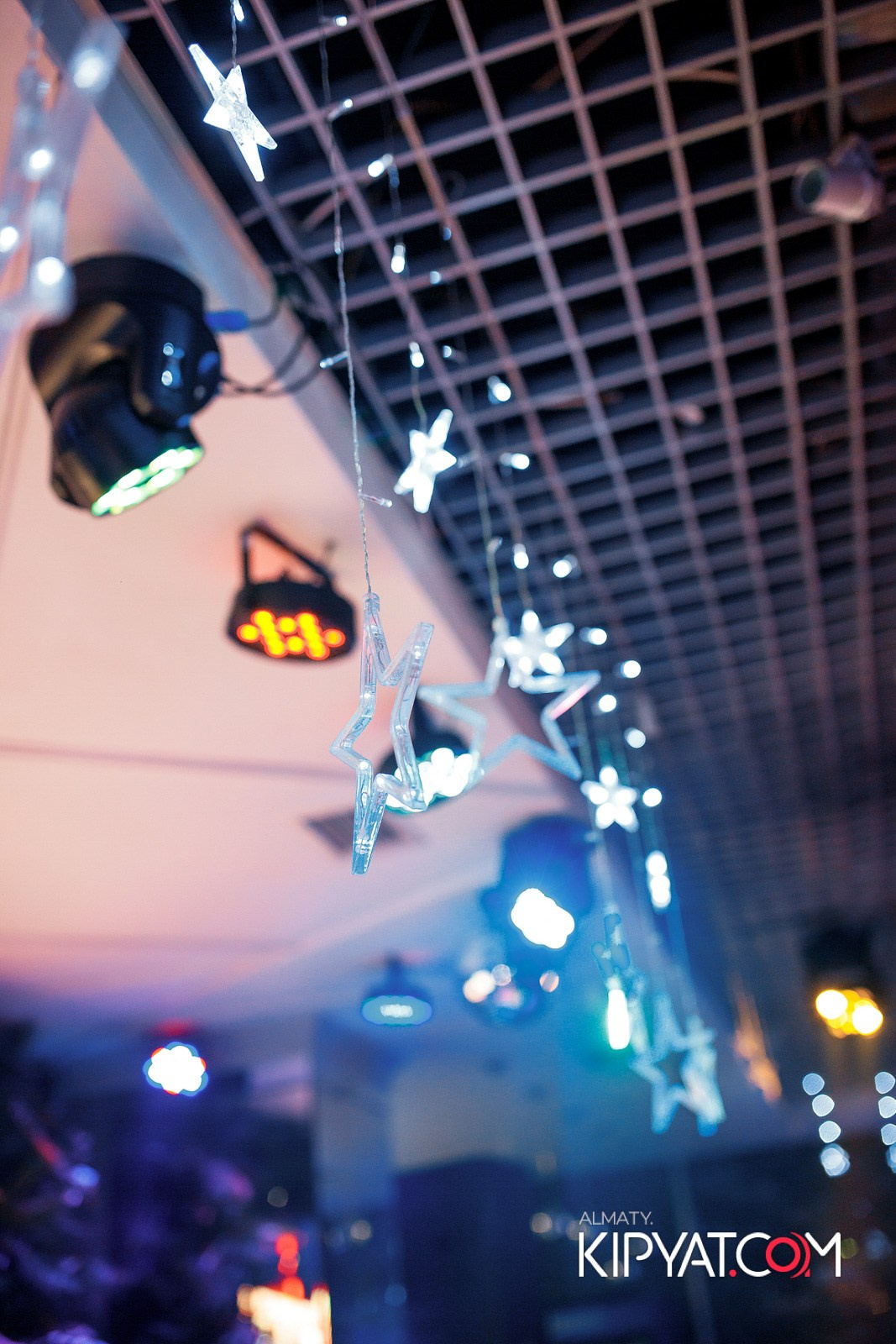 УХО И МЕДВЕДЬ НА КУРМАНГАЗЫ. КИПЯТКОМ АЛМАТЫ!