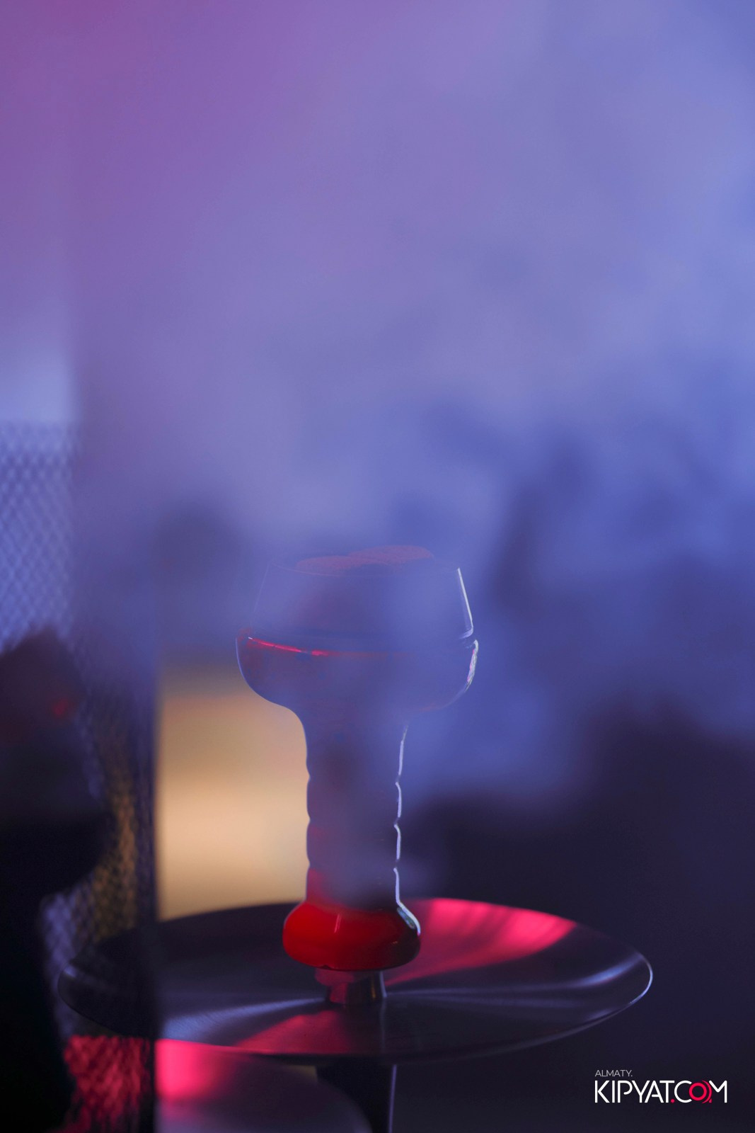 VICE CITY. КИПЯТКОМ АЛМАТЫ! Фотосъемка мероприятий в Алматы