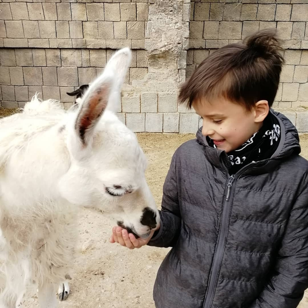 Anka`s Instagram. Заставка