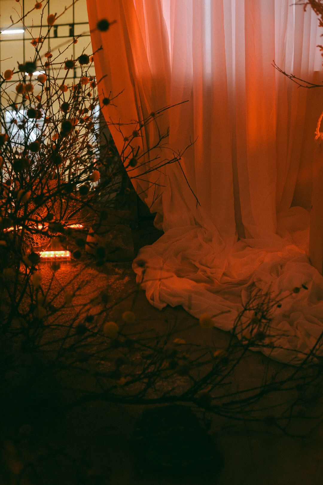 22 zima. Фотограф Нижний Новгород