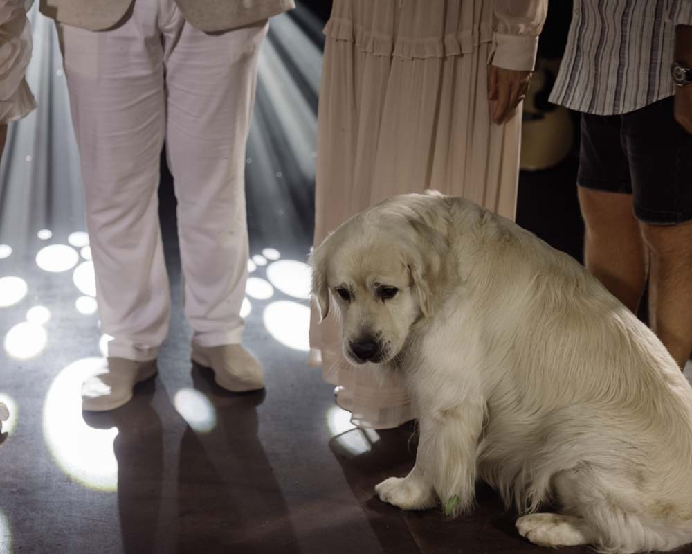 Любовь и ветер. Владимир Киселев — свадебный фотограф в Саратове, Москве и по всему миру