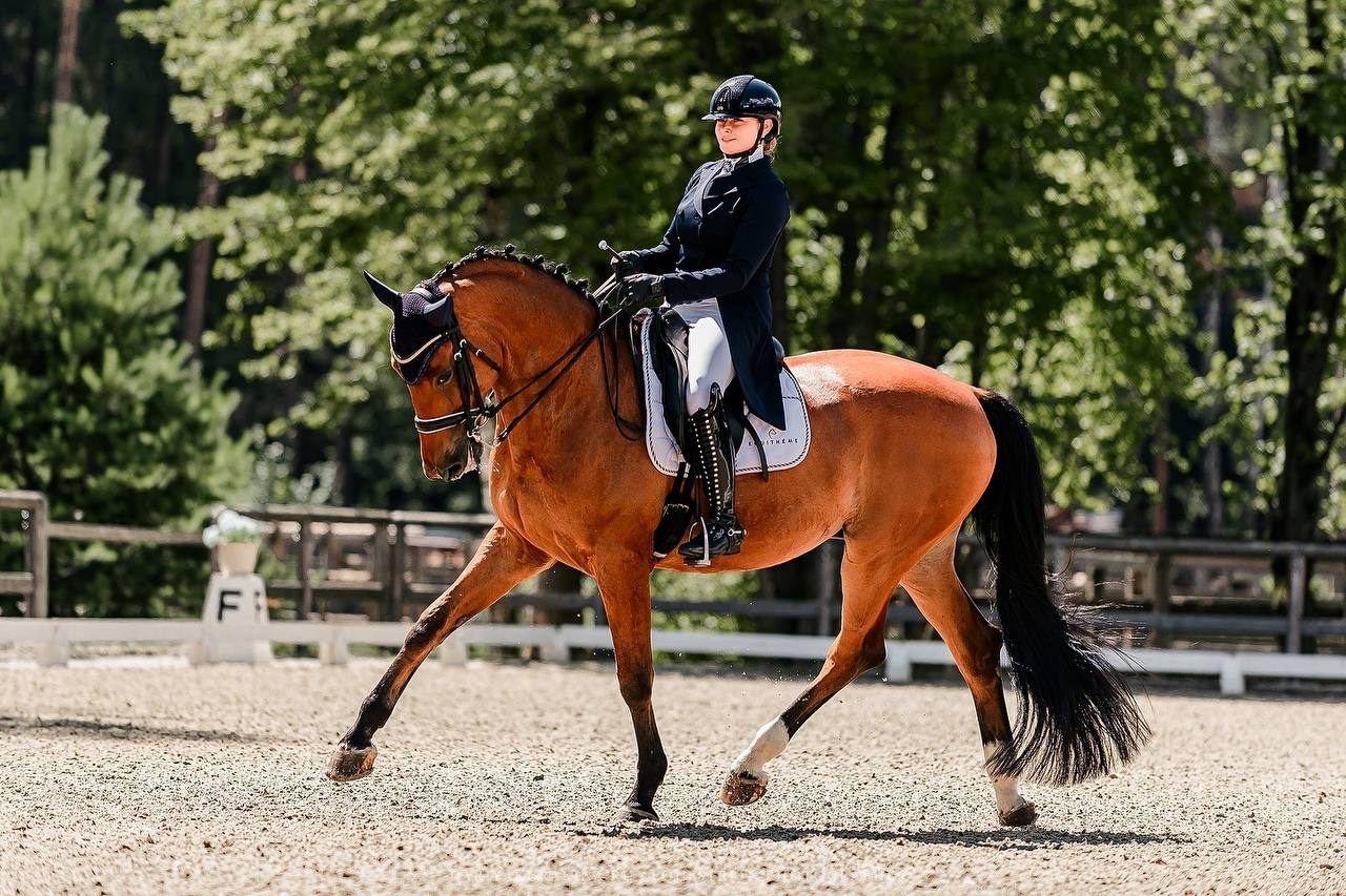 Третий этап КУБКА КСК «АЛМАЗОВО» по ВЫЕЗДКЕ. Конный фотограф Куракина Дарья • Фотосессии с лошадьми
