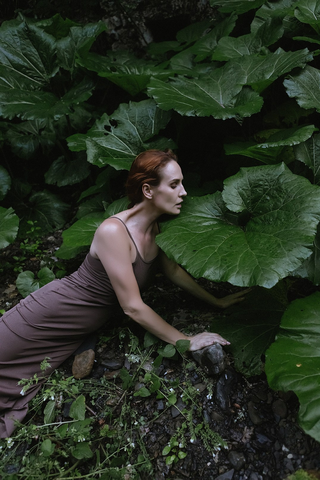 Оля портреты. Семен Соколов