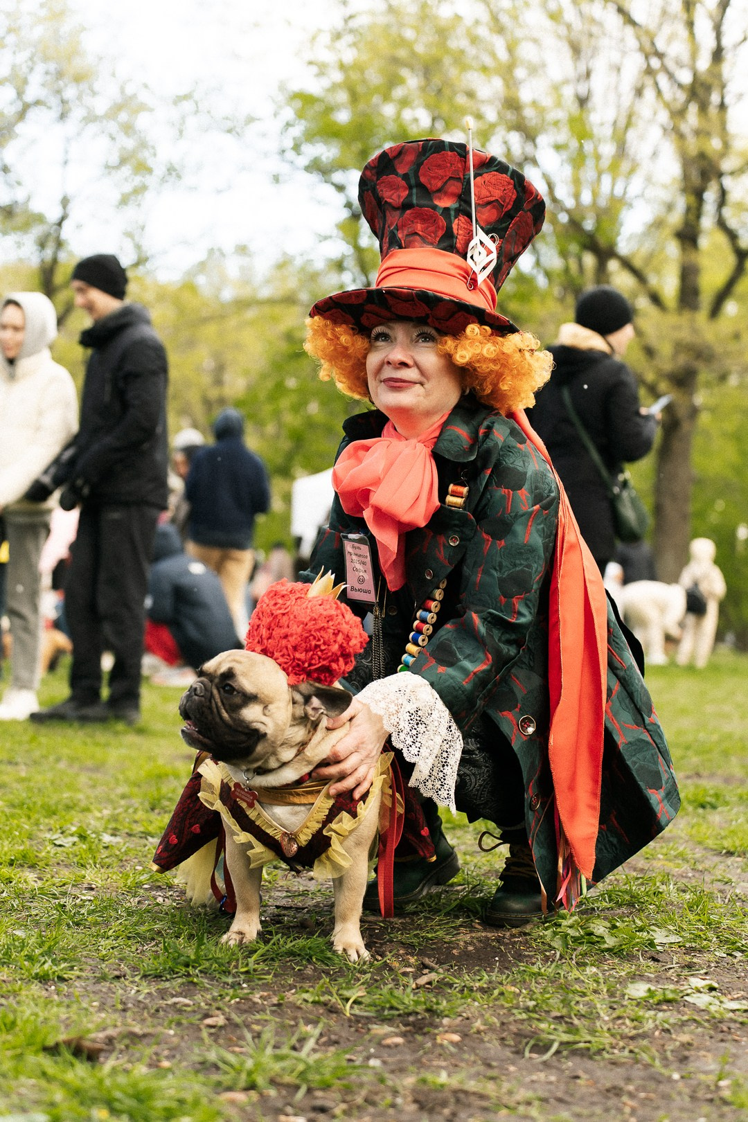 Парад Бульдогов. Axenov_eugene