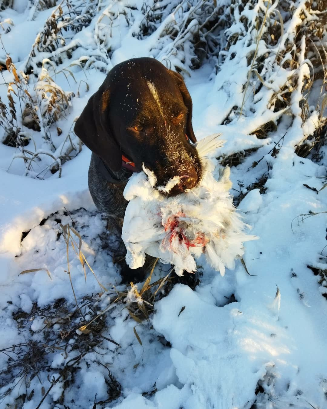 Фотографии. Главная