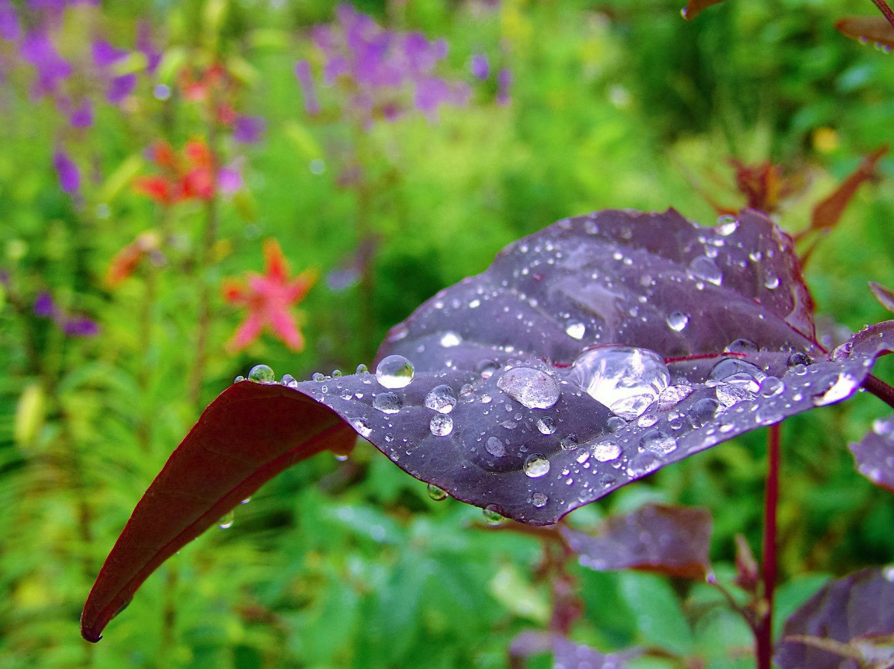 Невероятная красота воды
