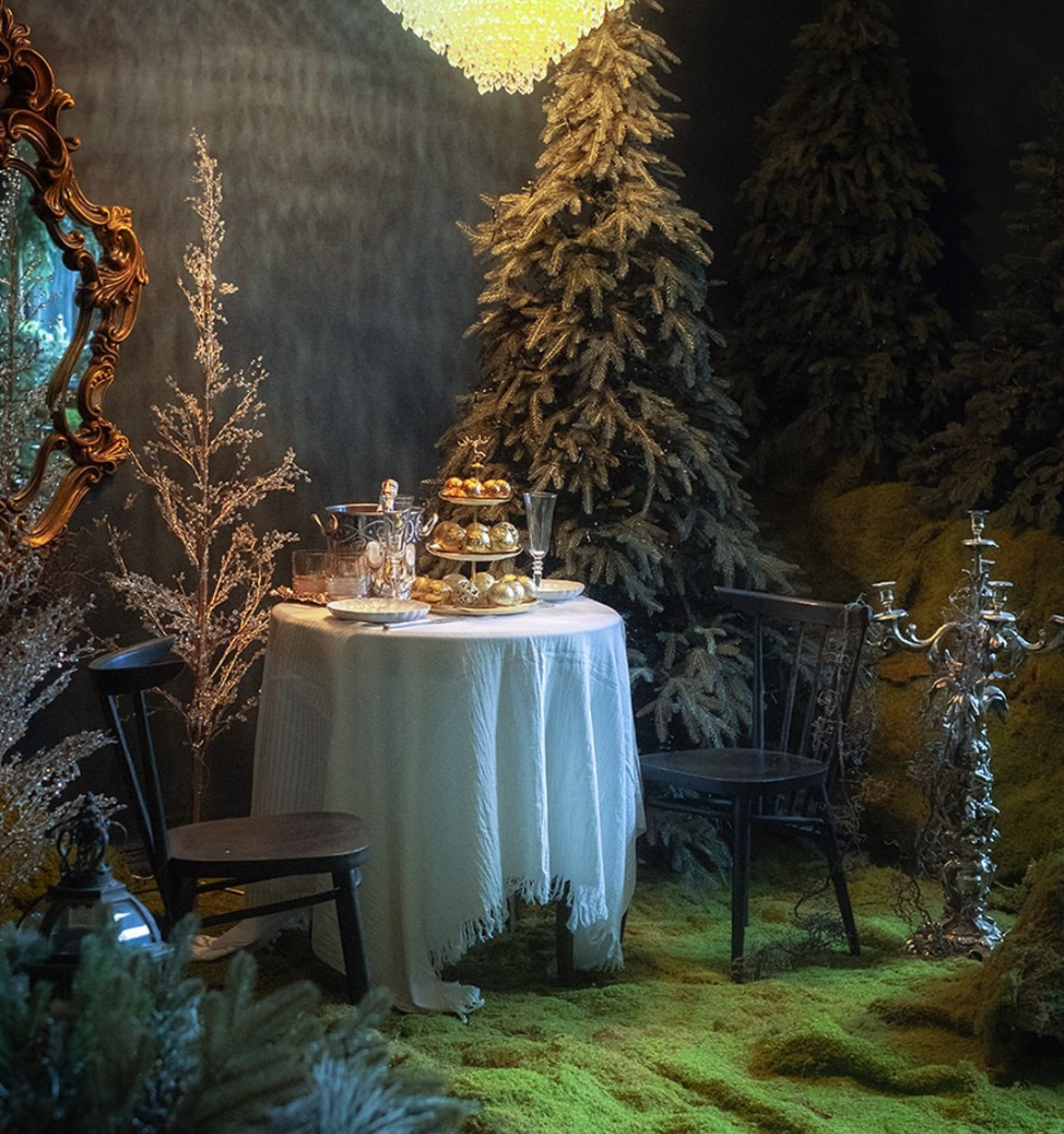 Forest. Фотограф в Алматы