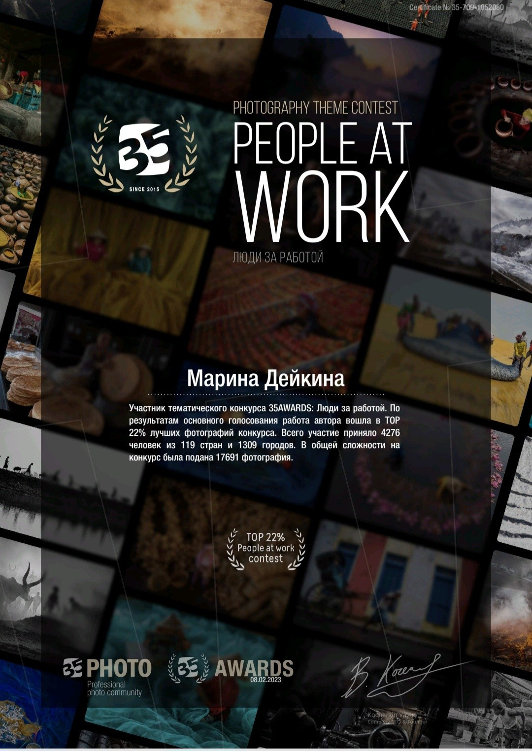 Достижения, дипломы, сертификаты