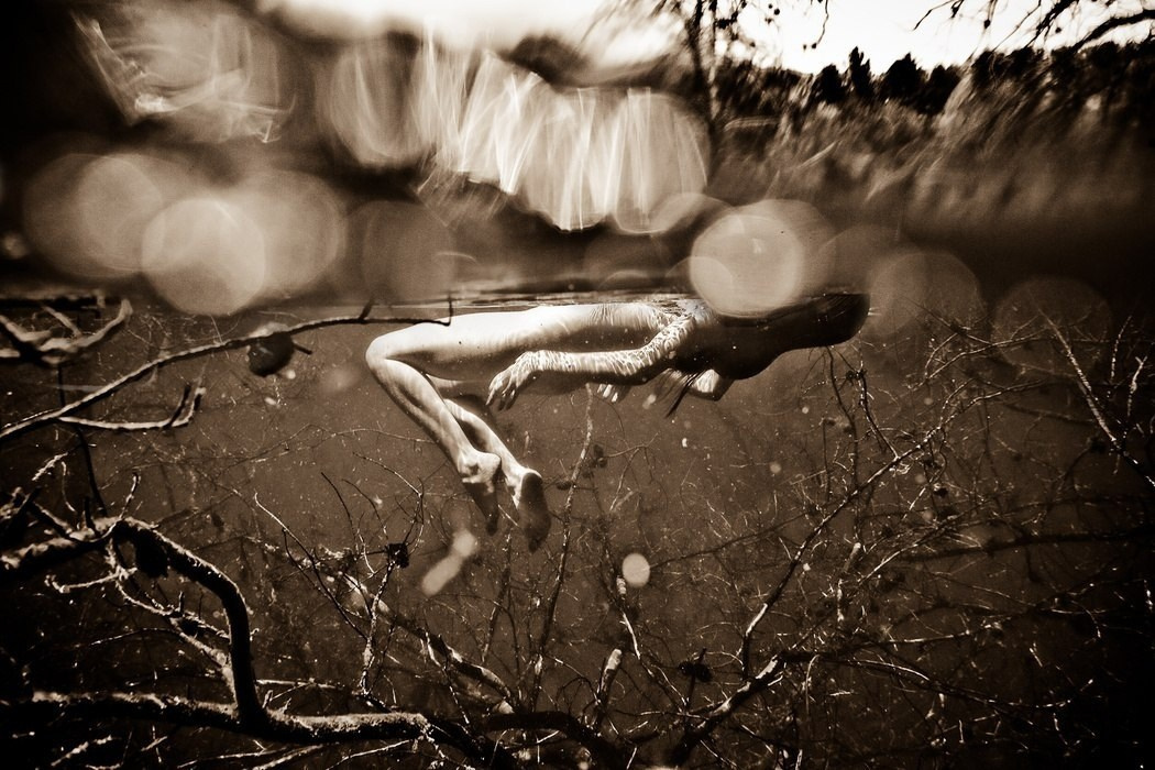 REFERENCE PACK. Maxim Tminov