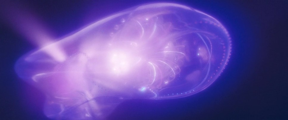 Color Theory. TENZO | Creative Producer / Art Director