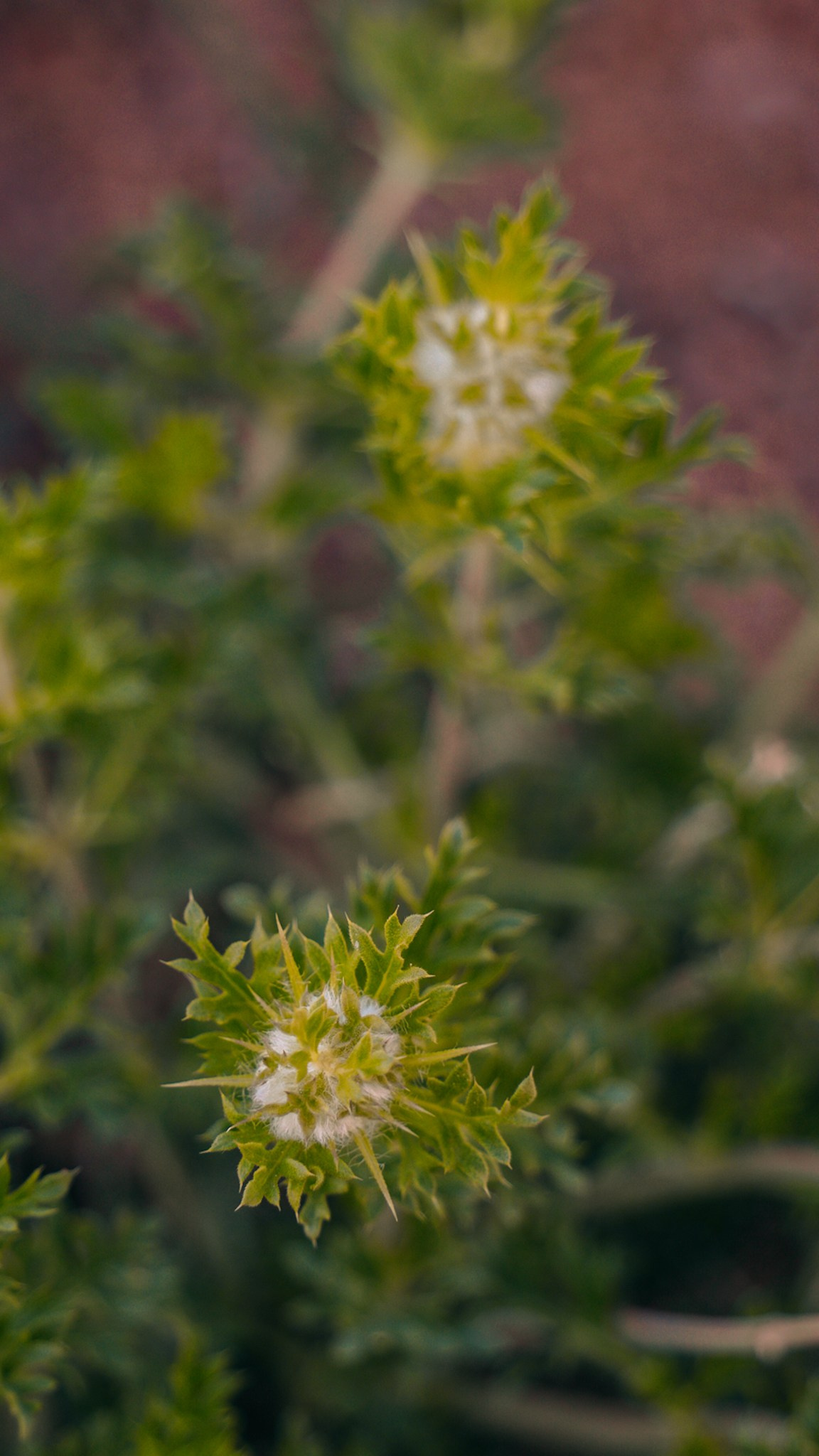Кыргызстан. Человек с фотокамерой