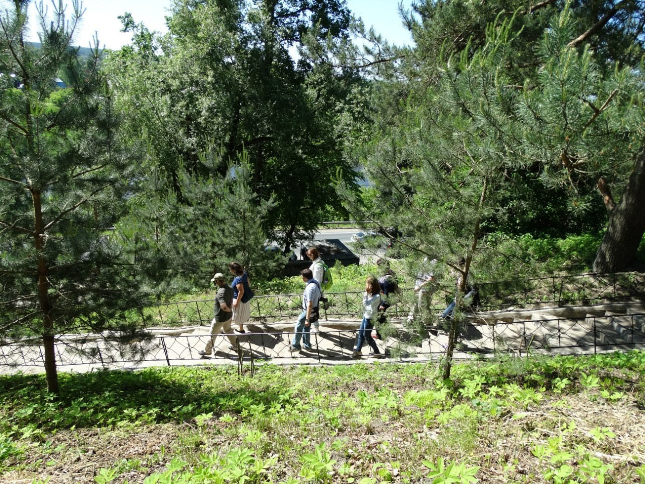 Звенигород | 07.06.2015. Галерея Фантим