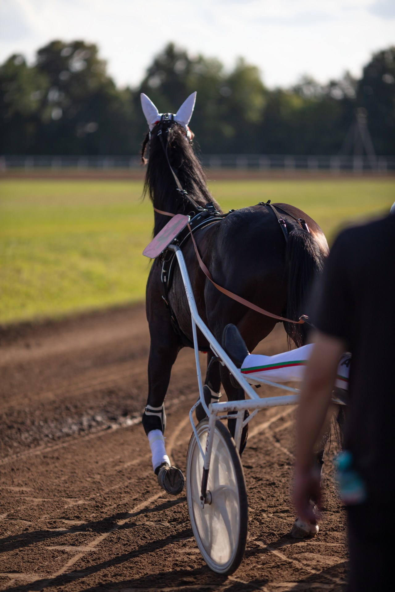 Конные бега 2026. Фотография