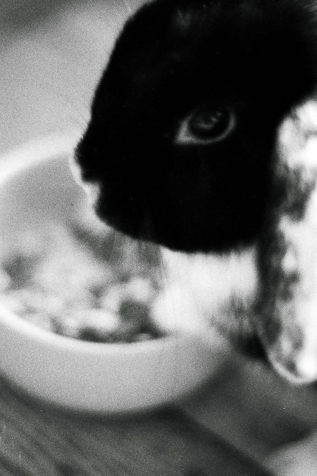 Silberra P400 (2). Natalia Carney — Photographer, Model, Blogger