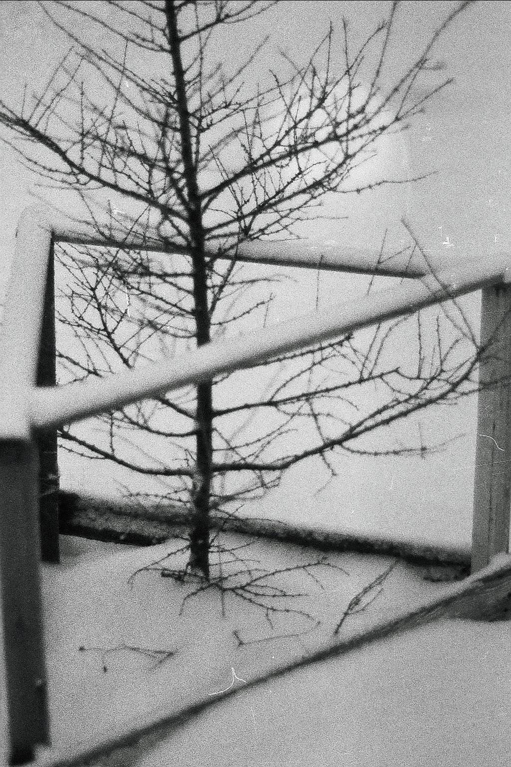 Silberra P400 (2). Natalia Carney — Photographer, Model, Blogger