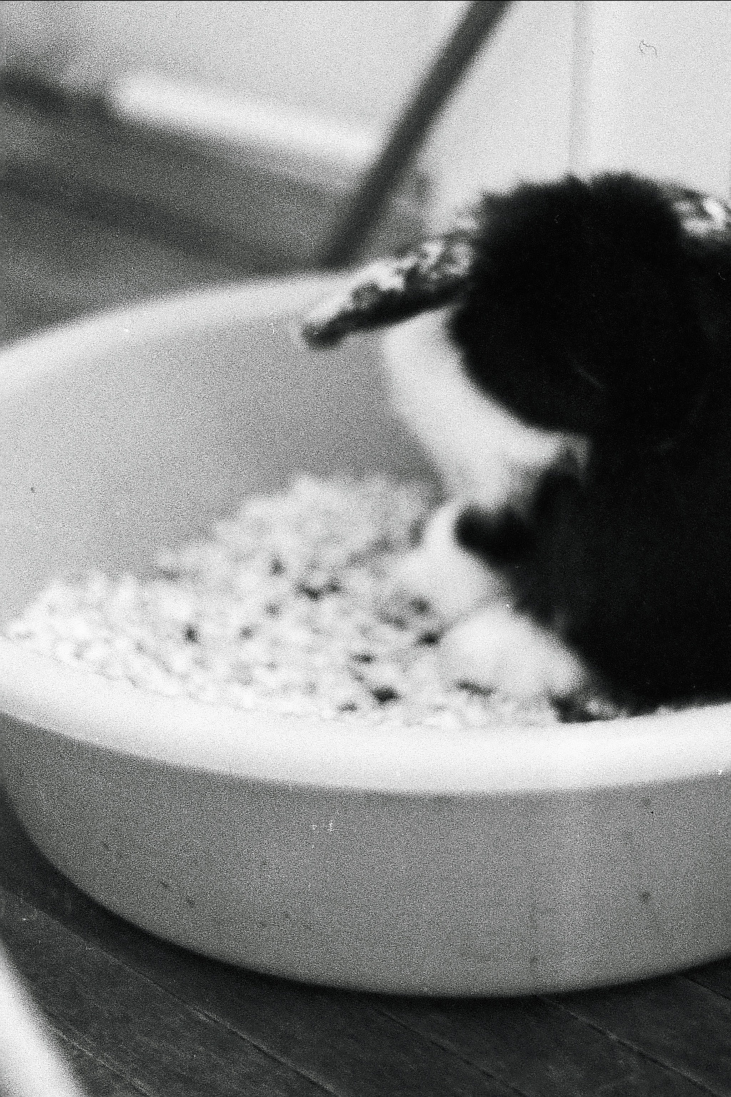 Silberra P400 (2). Natalia Carney — Photographer, Model, Blogger