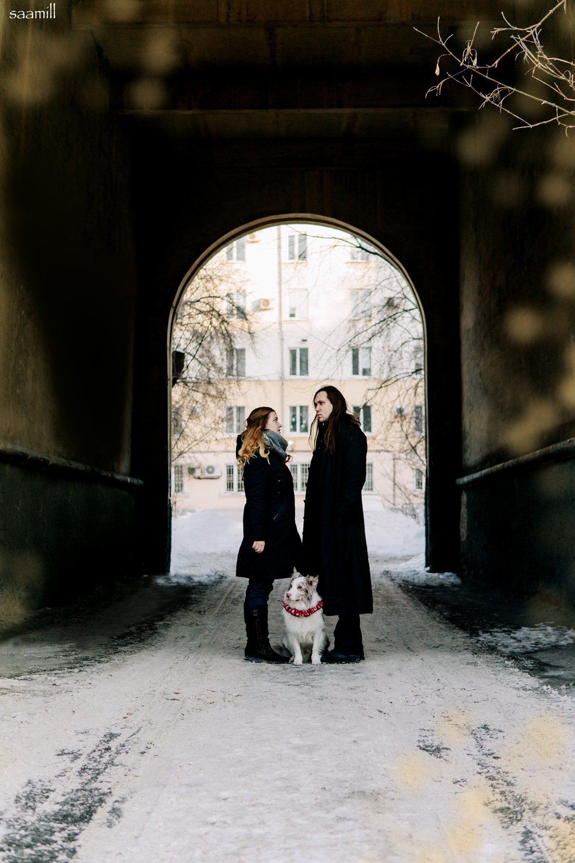 Life with dog. Saamill