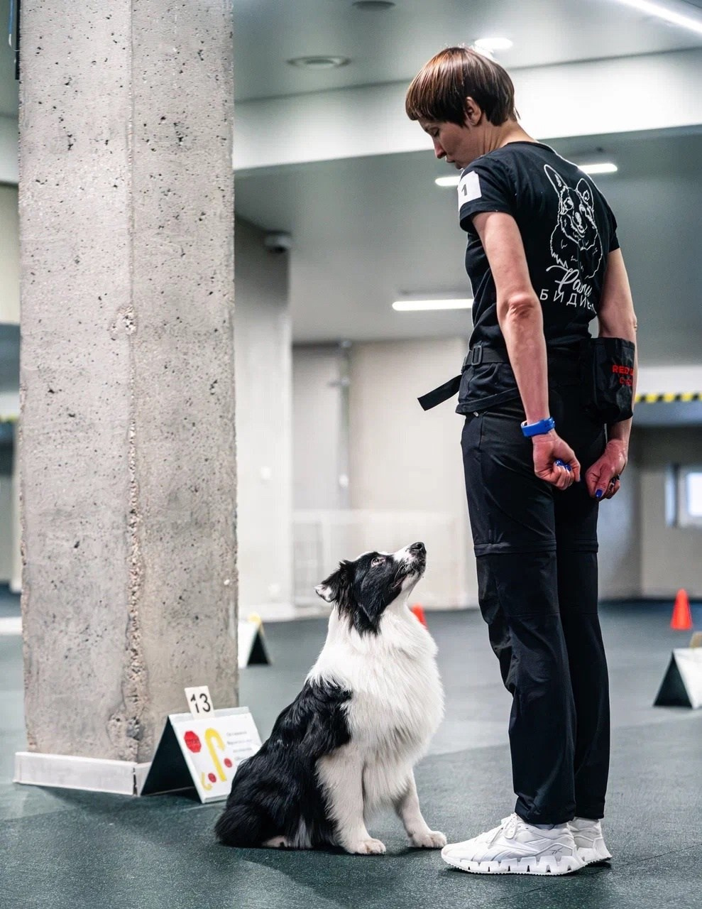 Карныш. BLGKV питомник собак