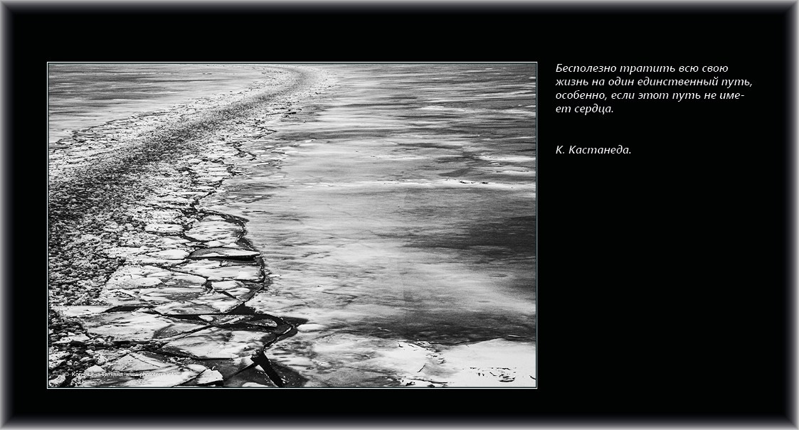 Совет дня — ориентир. Татьяна Корчагина. Фотограф, художник. Обучение фотографии