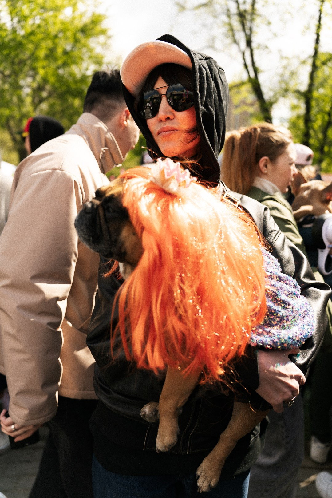 Парад Бульдогов. Axenov_eugene