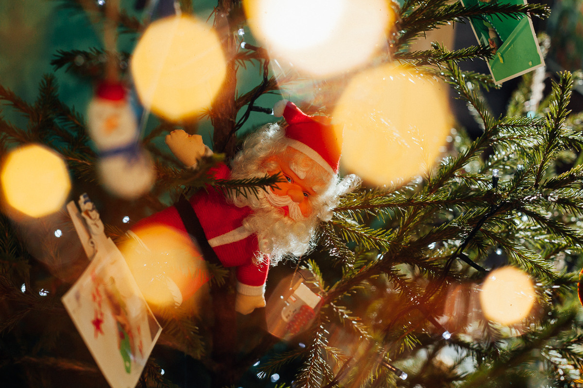 Первая Елка. Семейный и свадебный фотограф в Москве Жнякина Юлия