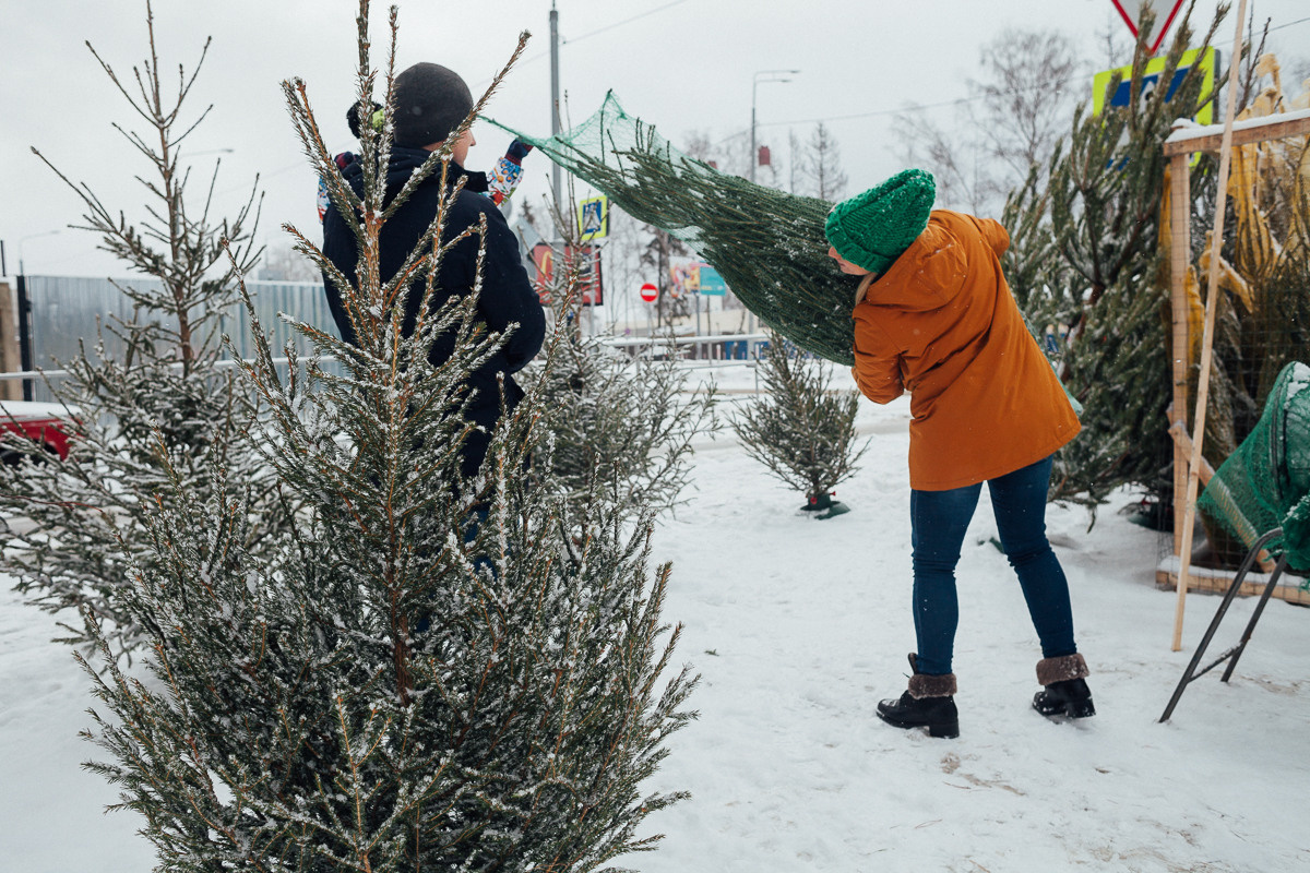 Первая Елка. Семейный и свадебный фотограф в Москве Жнякина Юлия