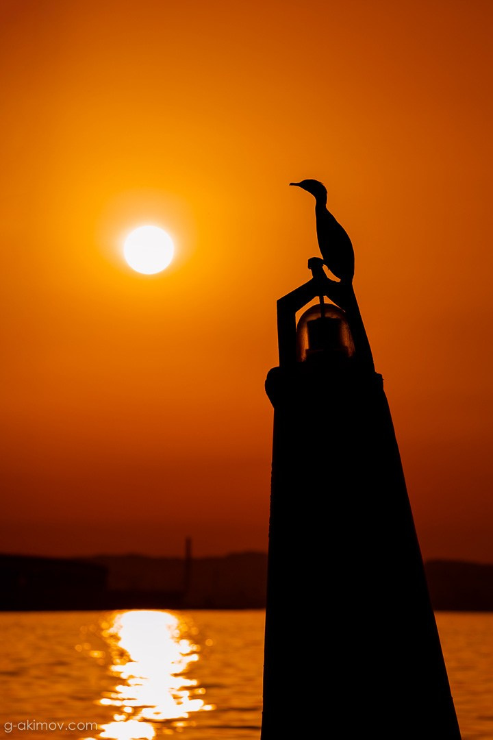 ЯХТЫ / МОРЕ / ПУТЕШЕСТВИЯ. Сложная съёмка для бизнеса b2b / Яхтенный фотограф / Корпоративные календари / Промышленная съёмка / Спортивный репортаж