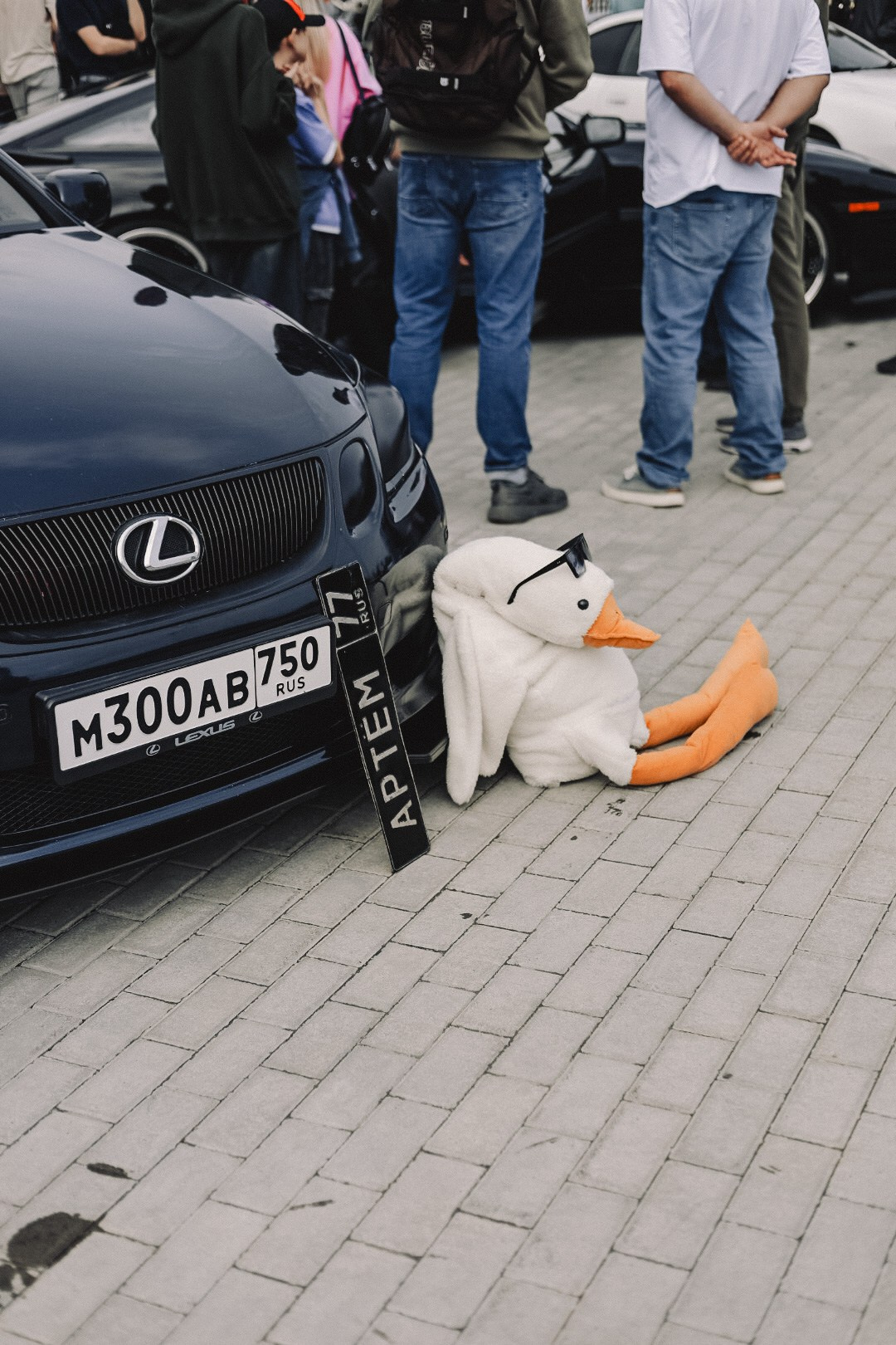 MIDDAY’2025. Семейный фотограф Полина Легачева