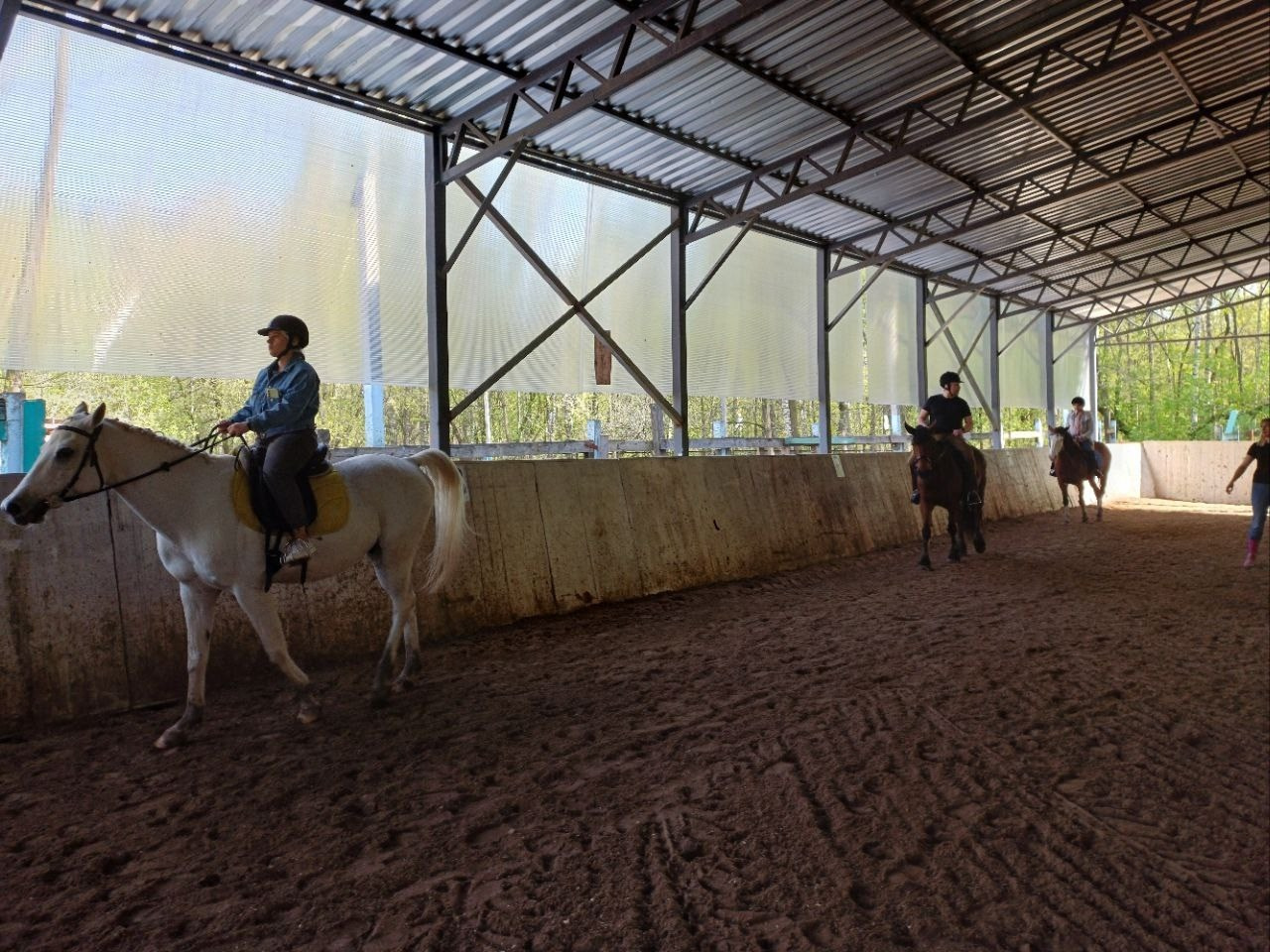 Лошадинг | 30.03.2024. Галерея Фантим