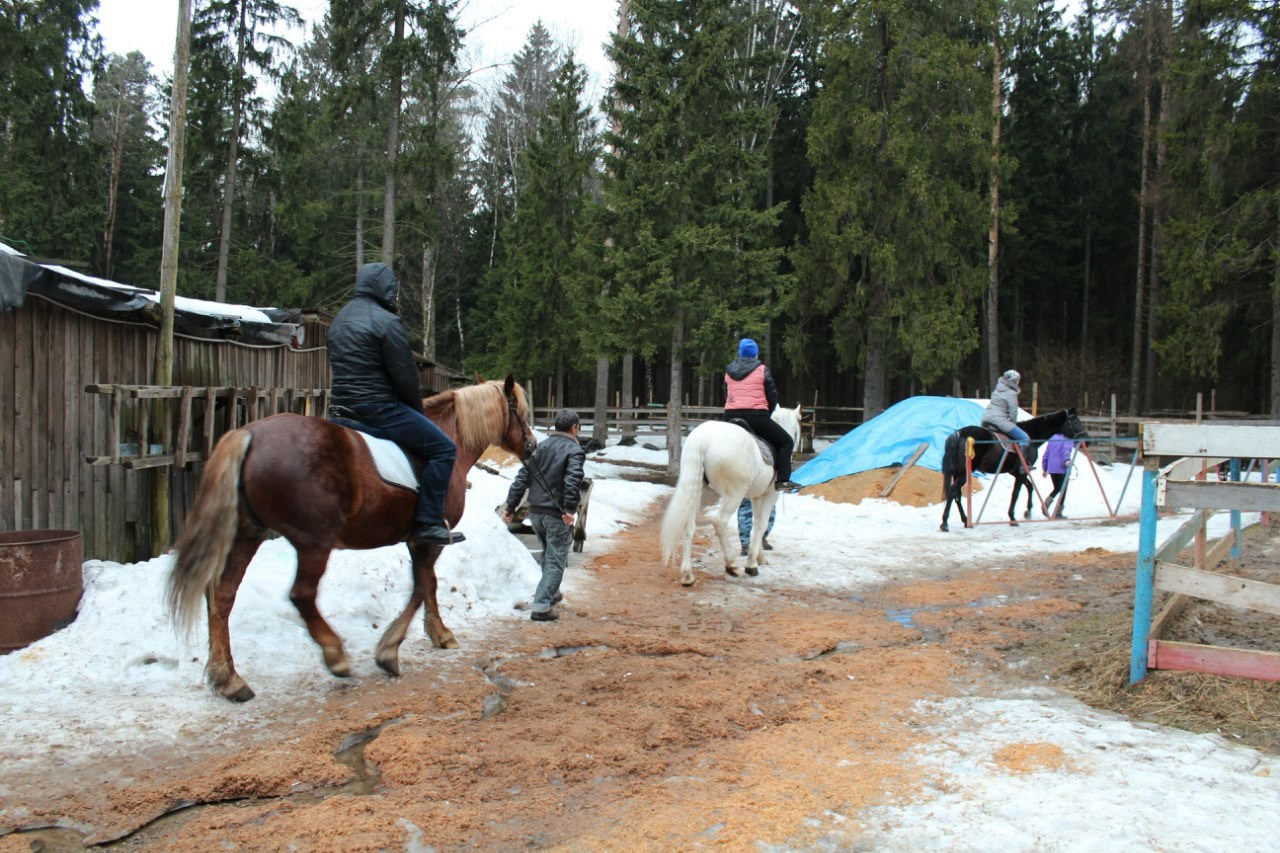 Лошадинг+шашлычинг | 02.04.2016. Галерея Фантим