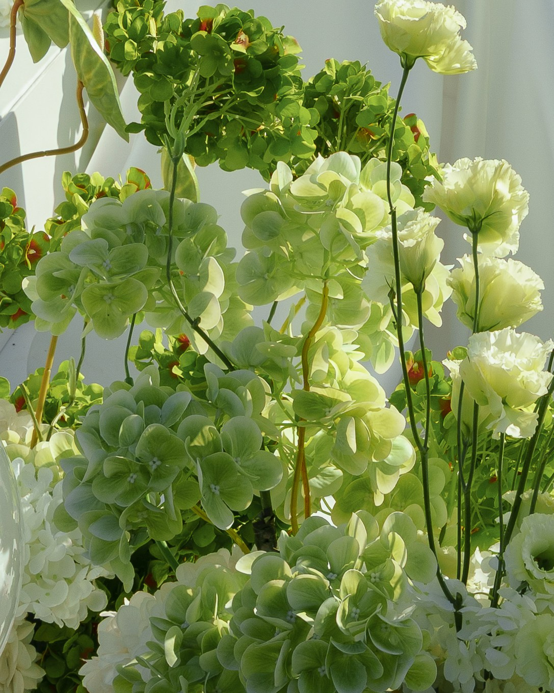 Фотограф в Москве Цыплухина Полина